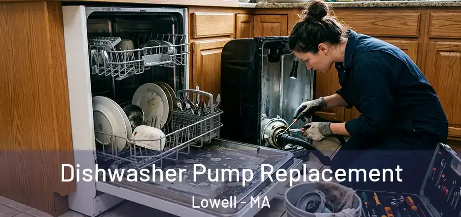  Dishwasher Pump Replacement Lowell - MA