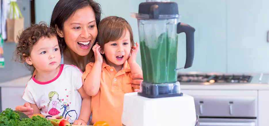 Juicer and Mixer Blender Repair in Lowell 
