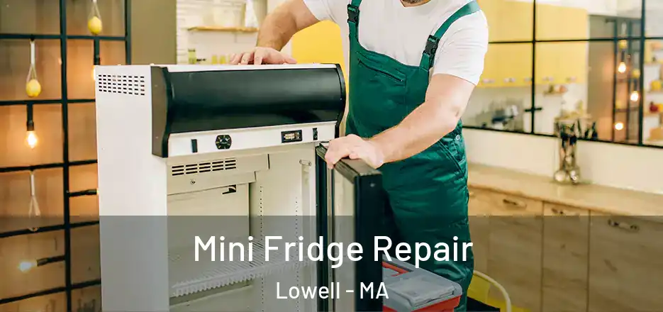  Mini Fridge Repair Lowell - MA